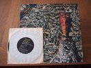 SIOUXSIE & BANSHEES JUJU Limite Edition Original 1981 LP VINYL +7