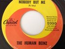 HUMAN BEINZ- NOBODY BUT ME/ SUENO -CAPITOL 5990. EX