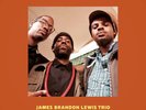 JAMES BRANDON TRIO LEWIS - NO FILTER   VINYL LP NEU