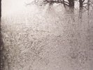 Bon Iver For Emma Forever Ago New Vinyl LP BRAND NEW IN STOCK