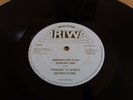 RANKING ANN - IMMIGRATION PLAN / JOHN PEEL DUB - MAD PROFESSOR - ARIWA