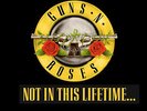 2 x standing tickets to Guns N Roses London 17th June 2017