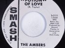 Northern Soul 45 AMBERS Potion Of Love SMASH VG+ HEAR promo