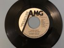 Audrey Riley - Love Can't Live in Chains / This is What I Get - NM+ AMG Soul 45