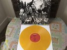 Dinosaur Jr. Dinosaur Self Titled LP RARE 1985 ORANGE VINYL Homestead Sebadoh NM