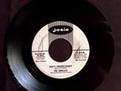 Cadillacs Holy Smoke Baby / I Want to Know PROMO 45