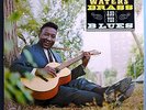 MUDDY WATERS MUDDY, BRASS & BLUES RARE ORIG '66 CHESS BLUES MONO LP 1A BEAUTIFUL