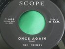 NM Rare Doo Wop Rocker 45 : The Trends   Silly Grin   Once Again   Scope 102