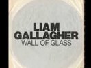 LIAM GALLAGHER DEBUT 7