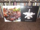 Indie Rock Vinyl LP Lot, Animal Collective & Kings of Leon