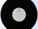 ROBERT LAMM Skinny Boy/Temporary Jones RARE STUDIO ACETATE 1974 Funk Soul HEAR