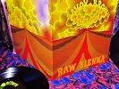 TOPS  1970 Orig SAVOY BROWN   RAW SIENNA    MASTERPIECE Hard BLUES Chris Youlden