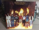 Lynyrd Skynyrd - Street Survivors - 1977 MCA Flames Cover Vinyl LP Album VG+