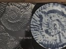 The Sundays Reading, Writing & Arithmetic UK Rough Trade Picture Vinyl LP (1990)