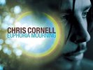 Chris Cornell - Euphoria Mourning [LP] (180 Gram, download) Soundgarden