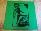 Siouxsie and the Banshees 12