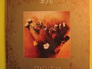 XTC Skylarking Rare First Issue of Deluxe Vinyl 2 LP Version APELP044D Ape House