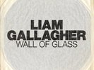 LIAM GALLAGHER DEBUT 7