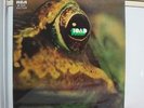 TOAD / SAME, RARE UK ORIGINAL RCA 1ST PRESS LP SF 8241 STUNNING CONDITION KRAUT