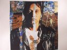 TRUDELL, John - AKA Grafitti Man - Vinyl (2xLP)