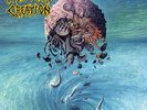MALEVOLENT CREATION  - Stillborn  LP  RED