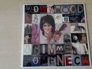 Ron Wood – Gimme Some Neck lp ( SEALED Speakers Corner ) 
