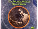 MUDDY WATERS Luther Georgia Boy Snake Johnson 12