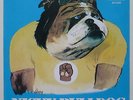 NICKY BULLDOG: Chewin' Gum Rock   COSMIC GLAM MOD BANGER    Hear