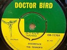 THE TENNOR'S SHAMEFACE LITTLE BIT OF THIS OG UK DOCTOR BIRD 7