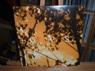 GAS KONIGSFORST MILLE PLATEAUX ELECTRONIC GLITCH AMBIENT WOLFGANG VOIGT
