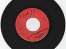 VILAS CRAIG TEENER 45RPM,LITTLE MISS BROWN EYES/POOR LOSER.FAN JR.,WISC. LABEL
