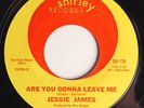 hear: JESSIE JAMES Are You Gonna Leave Me RARE northern soul 45 on Shirley