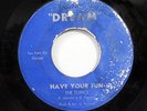 THE TOPICS-HAVE YOUR FUN ON DREAM  NORTHERN 45-VG+ PRIVATE PRESS-HEAR