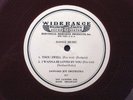 LEONARD JOY 1934 Western Electric HiFi LP Dance Band Transcription in E