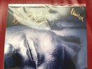 Andy Bell Erasure Signed Electric Blue Art Print - Ltd Numbered Edition of 100