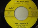 Chevelle V  Come Back Bird   Askel 45 Texas garage