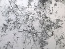 Voices From The Lake ?– Voices From The Lake - Techno Ambient Dub - 3xLP (2012)