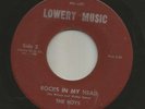 GARAGE PUNK- the BOYS- ROCKS IN MY HEAD - -HEAR -1967  FLORIDA LOWERY MUSIC