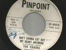 GARAGE PUNK  bw INSTRO- CHAINS - AINT GONNA EAT OUT -HEAR -1967 TEXAS PINPOINT