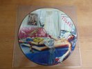 Marillion - Fugazi picture disc vinyl LP record - Fish era