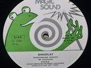 Rare Shadilay Pepe Magic Sound Frog LP P.E.P.E. point emerging probably entering