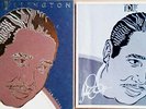 DUKE ELLINGTON - BLACK, BROWN & BEIGE - RCA / BLUEBIRD- (4) LP BOX SET + BOOKLET