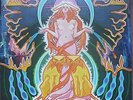 Hawkwind ?Space Ritual 2LP 1978 original US fold-out cover NM