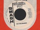 (Hear) 1967 Hallmarks Garage Psych DJ 45 (Soul Shakin Psychedelic Sally)