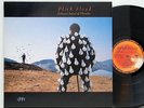 Pink Floyd         Delicate Sound of Thunder         DoLp        NM  # Y