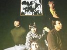 ELECTRIC PRUNES - I HAD TOO MUCH DREAMS LAST NIGHT - DE - MINT-NM
