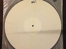 Against Me - Reinventing Axl Rose picture disc TEST PRESSING No Idea Records