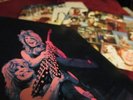 OZZY (BLACK SABBATH) ? TRIBUTE ? WIE NEU   ORIG. ERSTPRESSUNG & OIS RANDY RHOADS
