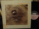 SKY SUNLIGHT SAXON Universal Stars Peace Band Masters Of Psychedelia