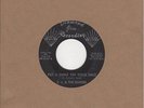 E J & The Echoes - Put A Smile On Your Face / People Say - Diamond Jim DR 8787 -